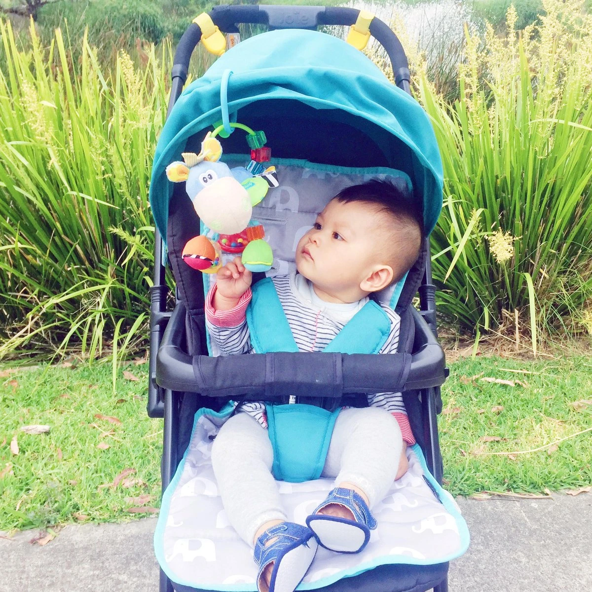 Playgro Clip Clop Rammelaar - Blauw - Activiteitenspeeltje - Kraamkado - Afbeelding 3