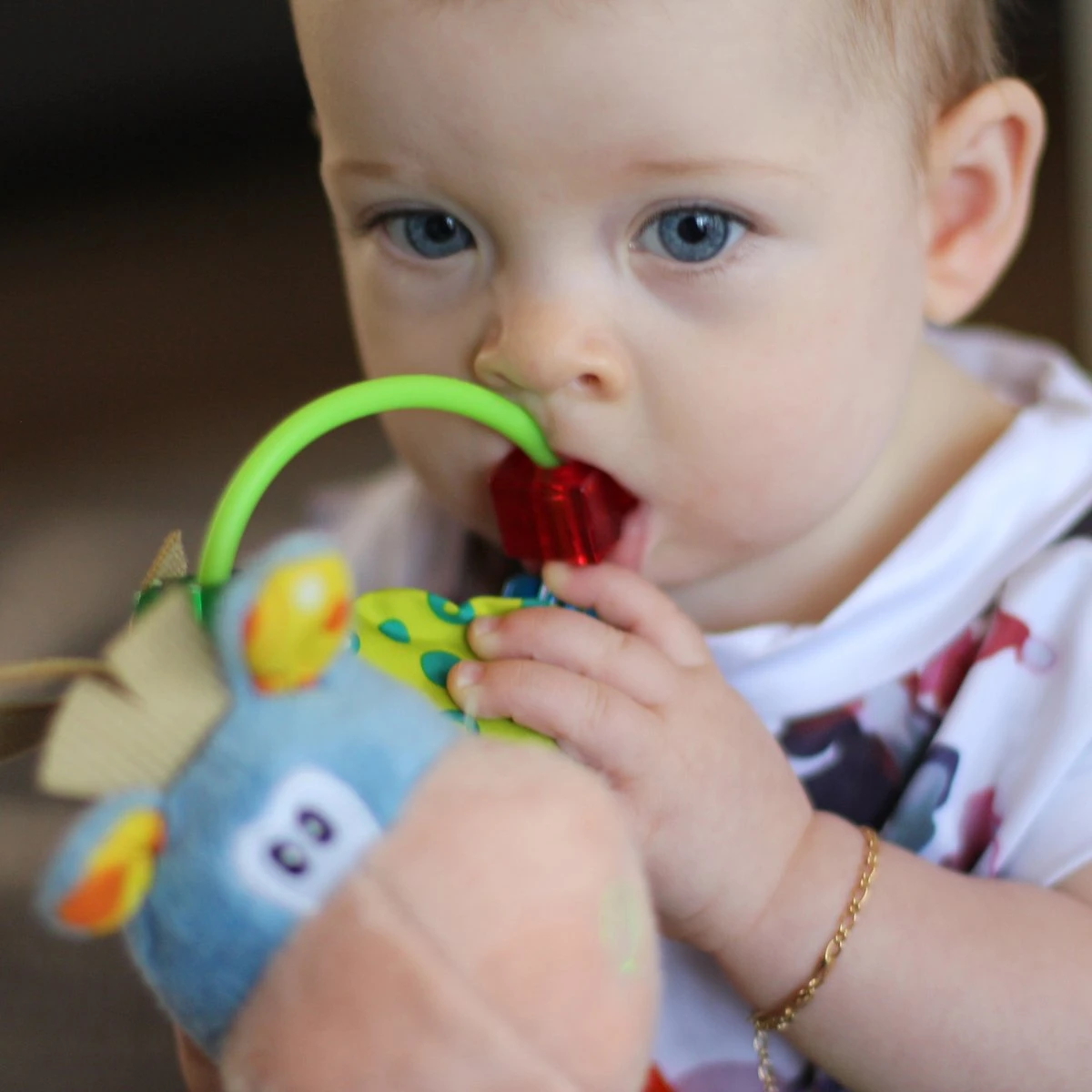 Playgro Clip Clop Rammelaar - Blauw - Activiteitenspeeltje - Kraamkado - Afbeelding 11