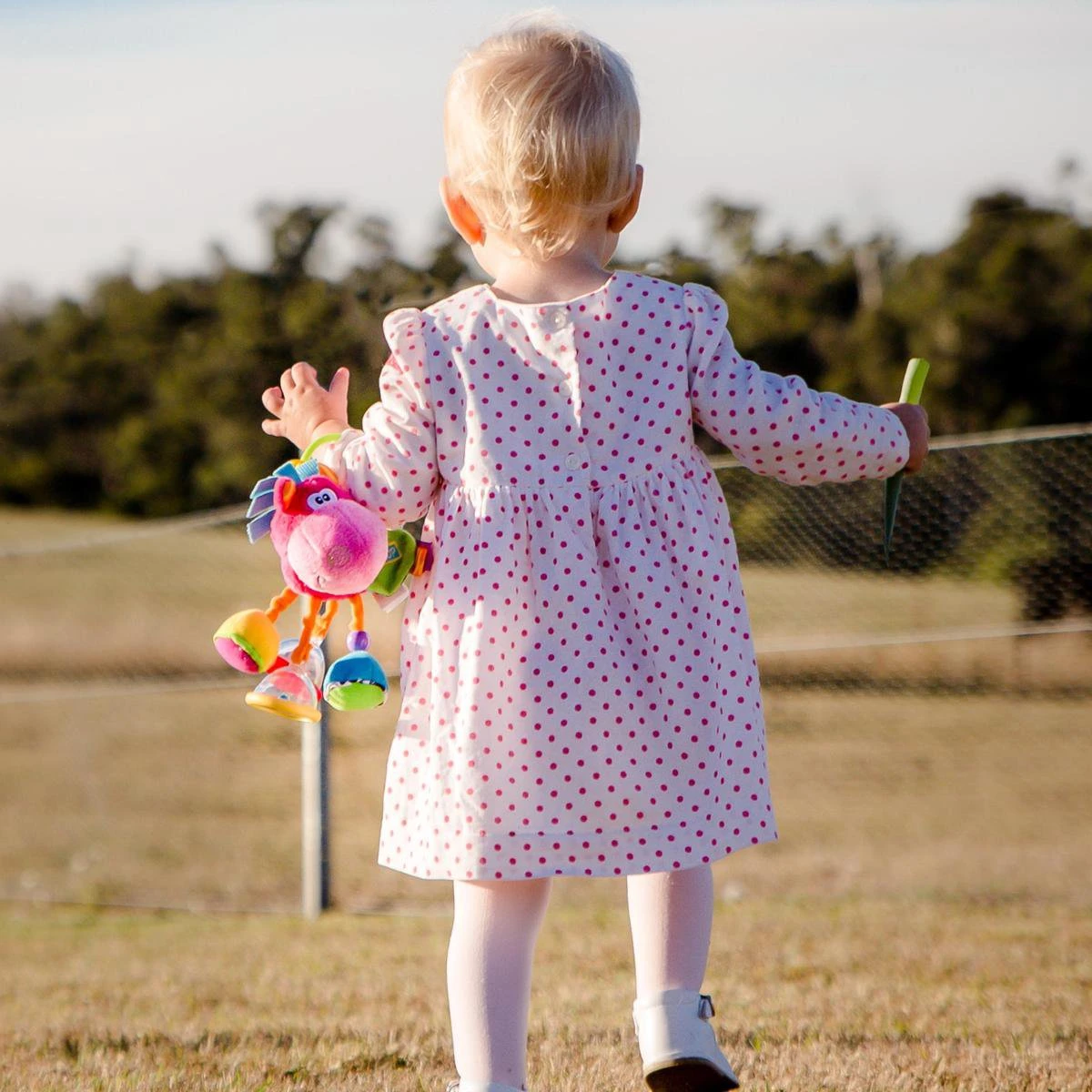 Playgro Clip Clop Rammelaar - Roze - Activiteitenspeeltje - Kraamkado - Afbeelding 8